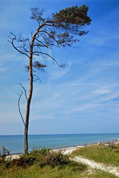 Balti Tenger Strand Hullámokkal — Stock Fotó