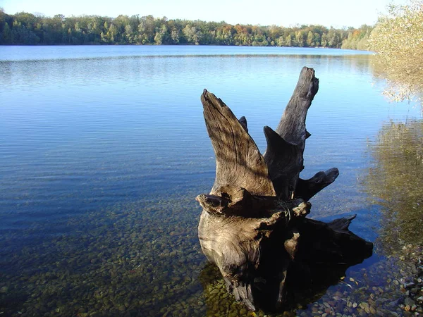 Vacker Utsikt Över Naturen — Stockfoto