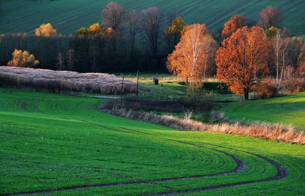 Picturesque View Beautiful Autumn Landscape — Stock Photo, Image