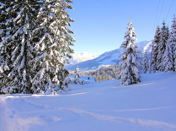 Schöne Aussicht Auf Die Winterlandschaft — Stockfoto