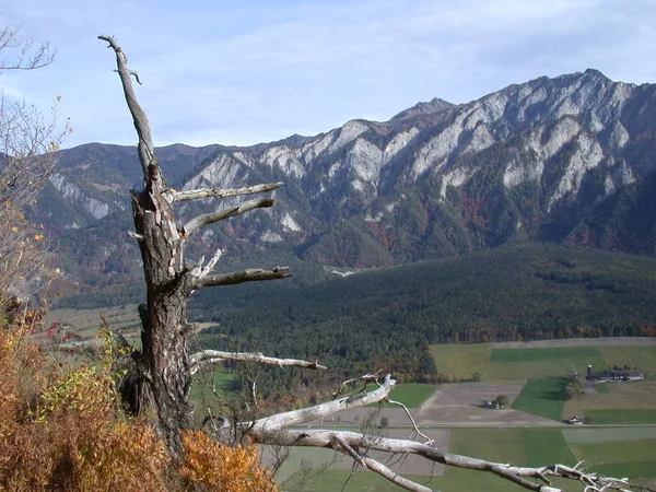 Bella Vista Della Scena Della Natura — Foto Stock