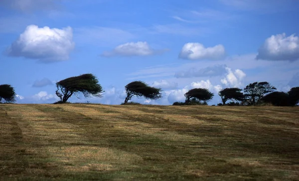 Malerischer Blick Auf Die Landschaft — Stockfoto