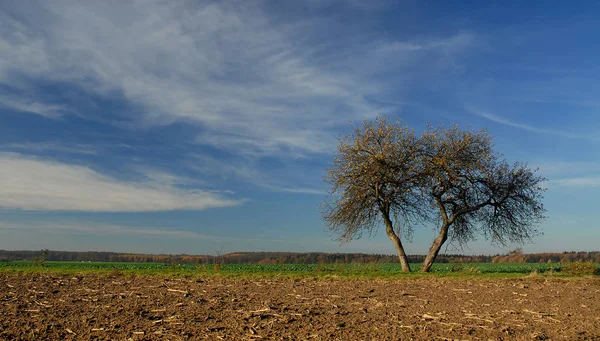 Landschappelijke Visie Landbouw Het Platteland — Stockfoto