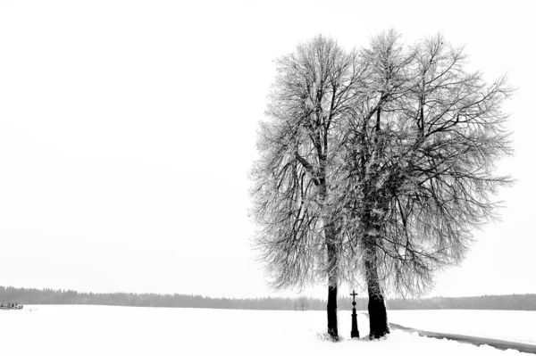 Bela Paisagem Inverno Nevado — Fotografia de Stock