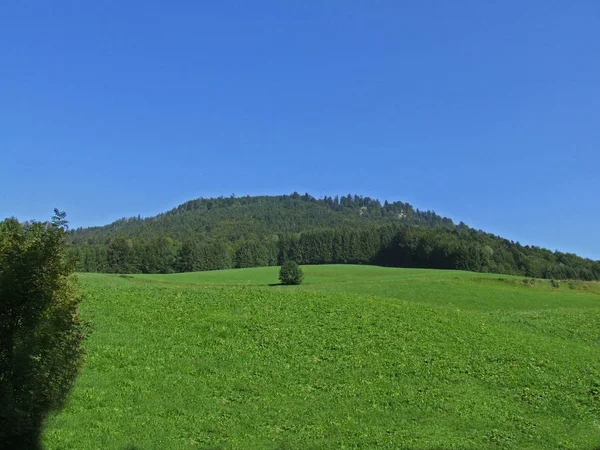 Bajorország Hivatalosan Bajorország Szabad Állam — Stock Fotó