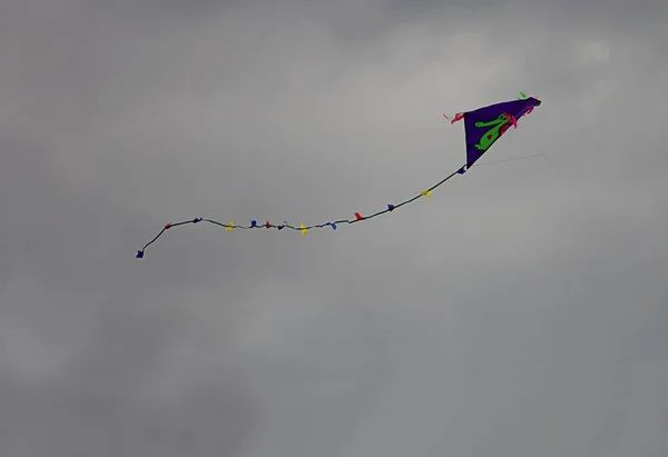 Papagaio Voando Céu — Fotografia de Stock