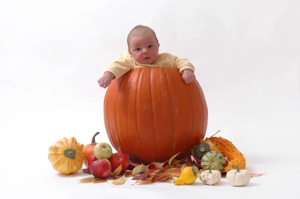 Closeup Portrait Cute Baby — Stock Photo, Image