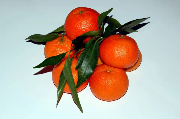 Detailní Záběr Citrusových Plodů — Stock fotografie
