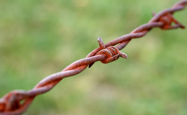 Rusty Barbed Wire Green Background — Stock Photo, Image
