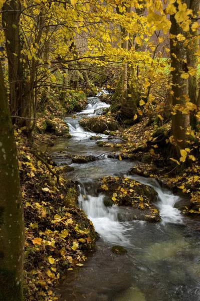 Val Van Alb Vallei Stroomt Het Idyllische Gen Urach — Stockfoto