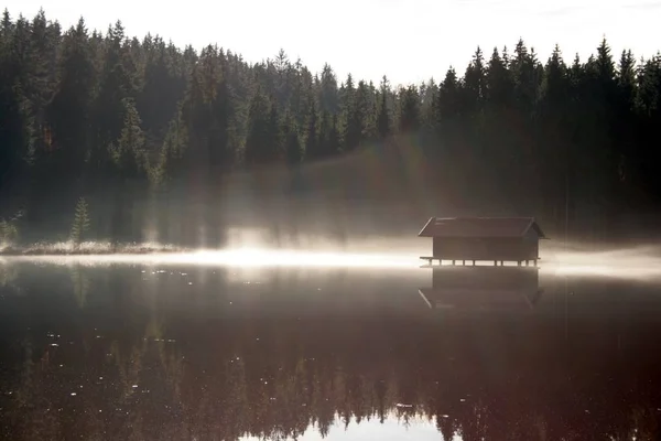 Podzimní Atmosféra Selektivní Zaměření — Stock fotografie