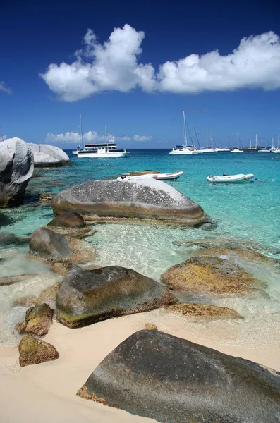 Caribisch Uitzicht Het Strand Overdag — Stockfoto