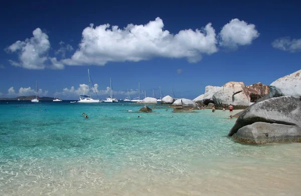 Caraibi Vista Sulla Spiaggia Durante Giorno — Foto Stock