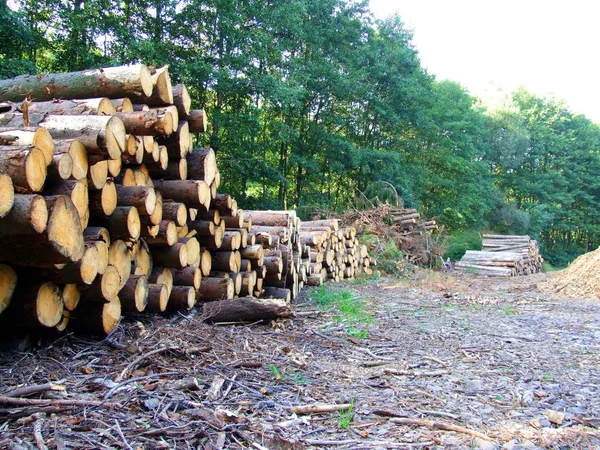 Drewno Opałowe Drewniane Drewniane — Zdjęcie stockowe
