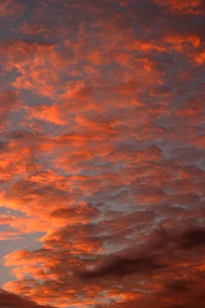 Krásný Západ Slunce Obloha Pohled — Stock fotografie