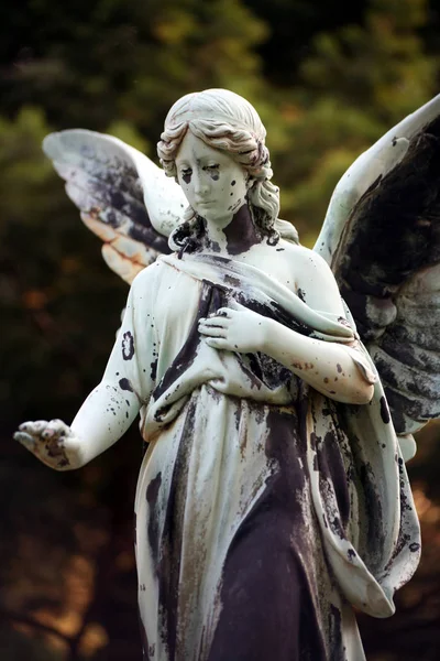Engel Standbeeld Een Oude Begraafplaats — Stockfoto