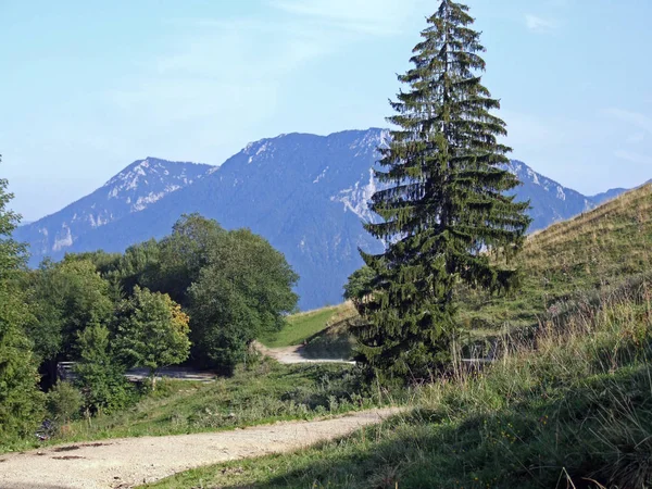 Pittoreske Natuur Cultuur Van Beieren — Stockfoto