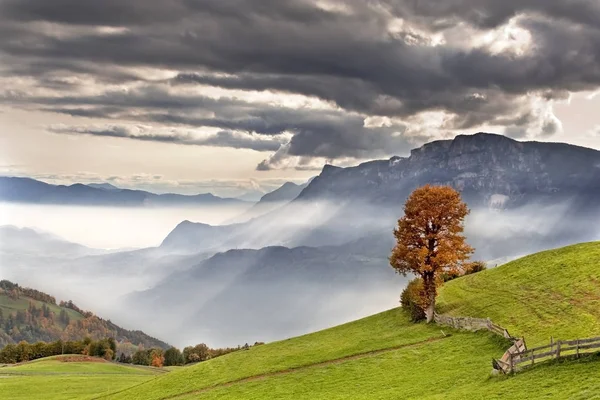 Vista Pitoresca Bela Paisagem Outono — Fotografia de Stock