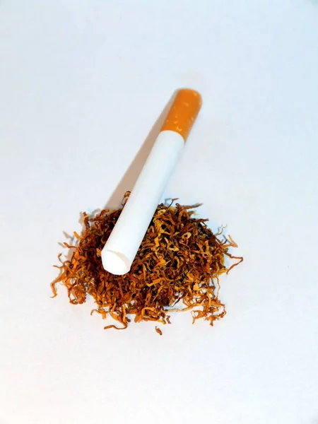 Manchon Cigarette Tabac — Photo