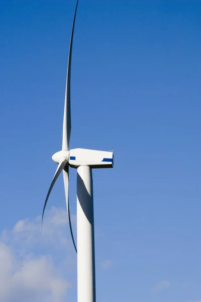 Molino Viento Parque Eólico Central Eólica — Foto de Stock