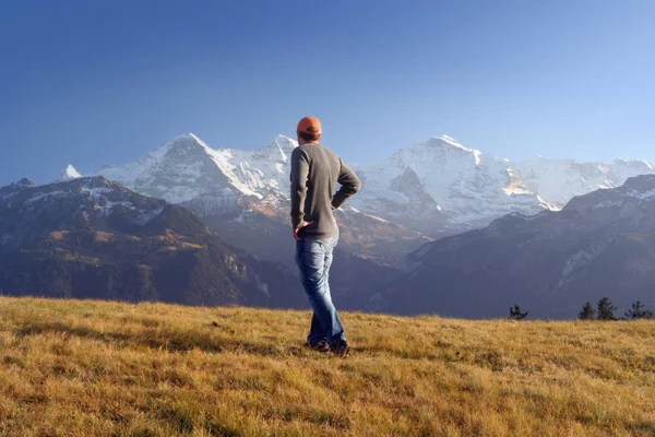 Vista Panorámica Del Hermoso Paisaje Los Alpes — Foto de Stock