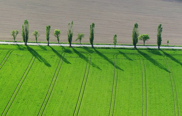 Landschaft Der Schönen Natur — Stockfoto