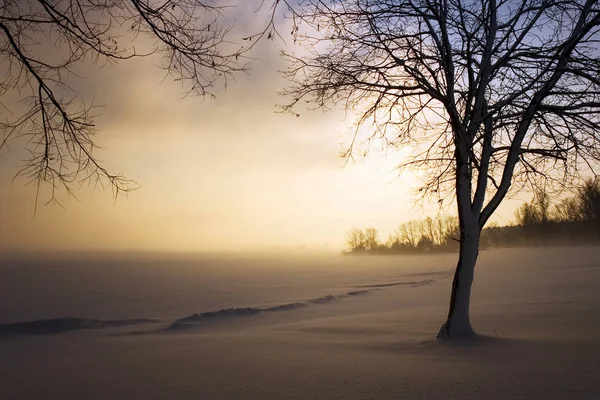 Bella Vista Sulla Natura — Foto Stock