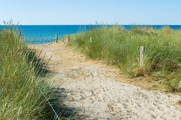 Panoramisch Uitzicht Duinen Selectieve Focus — Stockfoto