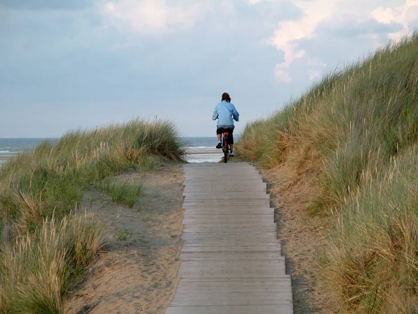 Dans Les Dunes Vélo — Photo