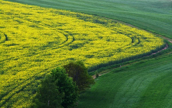 Land Feld Ackerland — Stockfoto