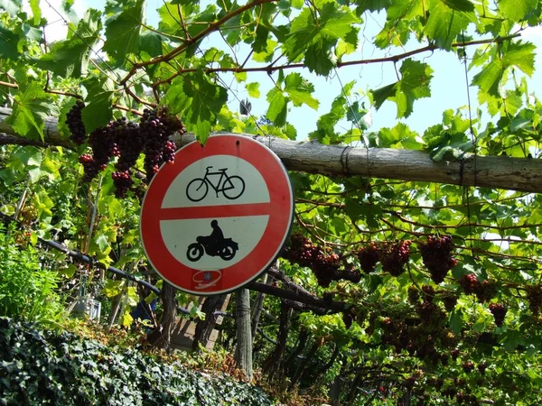 Närbild Trafikskylten — Stockfoto