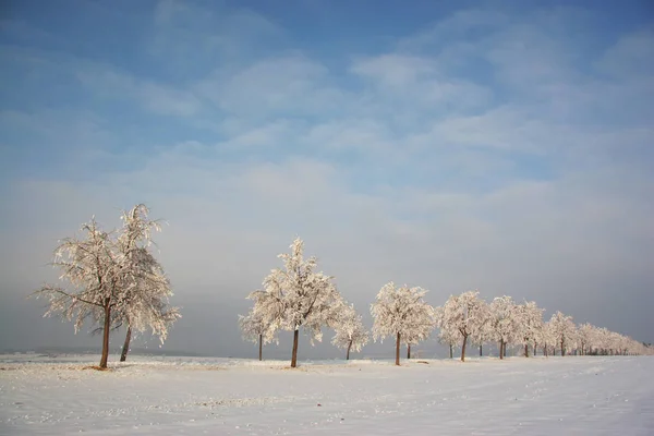 Fundo Colorido Para Natal Ano Novo Cartão Férias — Fotografia de Stock