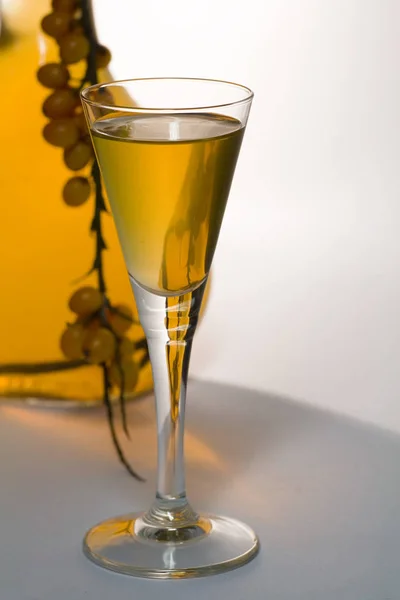 stock image Alcohol drink, close up view