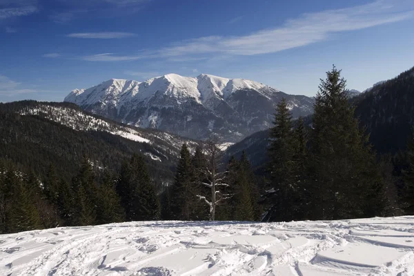 Algu Alplerindeki Yüksek Ifen Batısından Duvarına Kadar Görüş — Stok fotoğraf