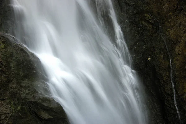 自然を背景にした美しい滝 — ストック写真