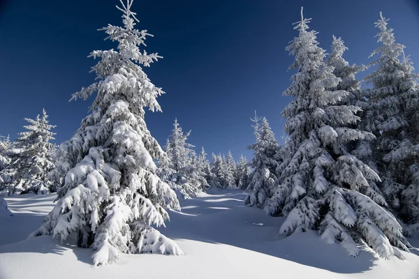 Schilderachtige Weergave Van Kerstversieringen — Stockfoto