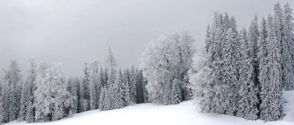 Schöne Aussicht Auf Die Winterlandschaft — Stockfoto