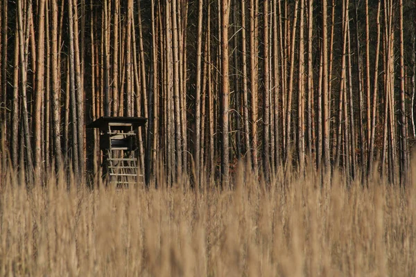 Prachtig Uitzicht Buitenwereld — Stockfoto