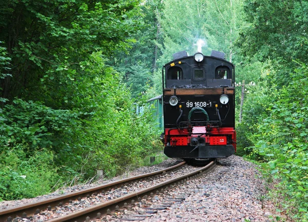 绿色隧道蒸汽机车 — 图库照片