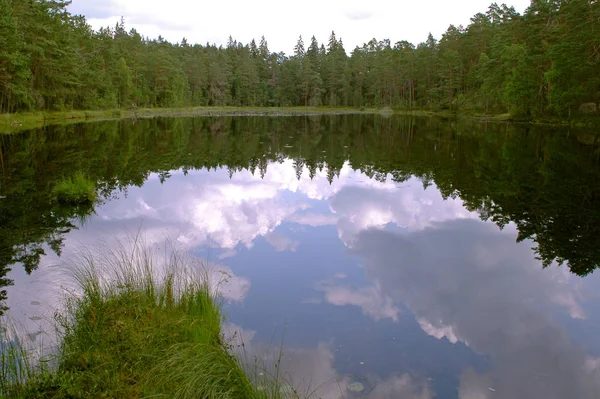 Национальный Парк Южном Шведском Городе — стоковое фото