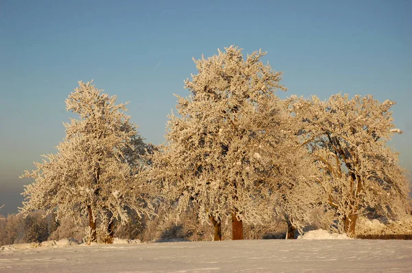 Bela Vista Paisagem Inverno — Fotografia de Stock