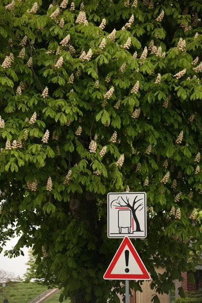 Verkeersbord Een Steegje — Stockfoto