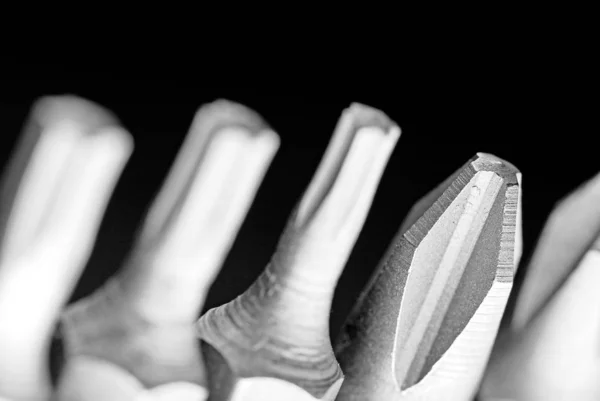Крупним Планом Рука Тримає Чорно Білу Бавовняну Квітку — стокове фото