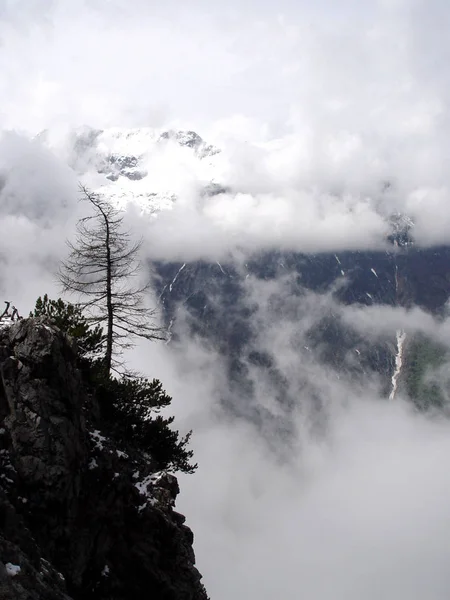 Vue Sur Les Alpes — Photo