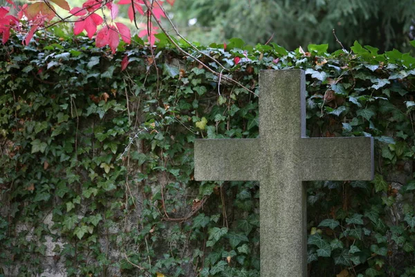 Old Cemetery — Stock Photo, Image