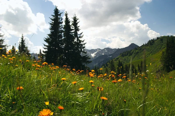 Vista Panorâmica Paisagem Majestosa Dos Alpes — Fotografia de Stock