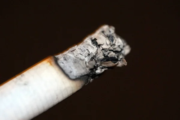 Cigarette Material Typically Tobacco — Stock Photo, Image