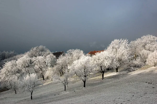 Bela Vista Paisagem Inverno — Fotografia de Stock