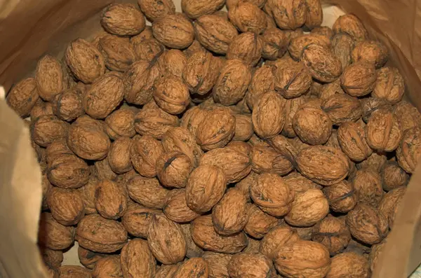 Walnuts Brown Nuts Food — Stock Photo, Image