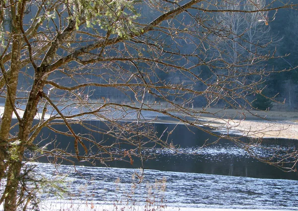 Blick Auf Eine Winterszene — Stockfoto